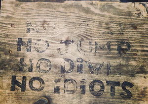 Calling All Water Babies! Find Out How to Explore the Shortest River in the World